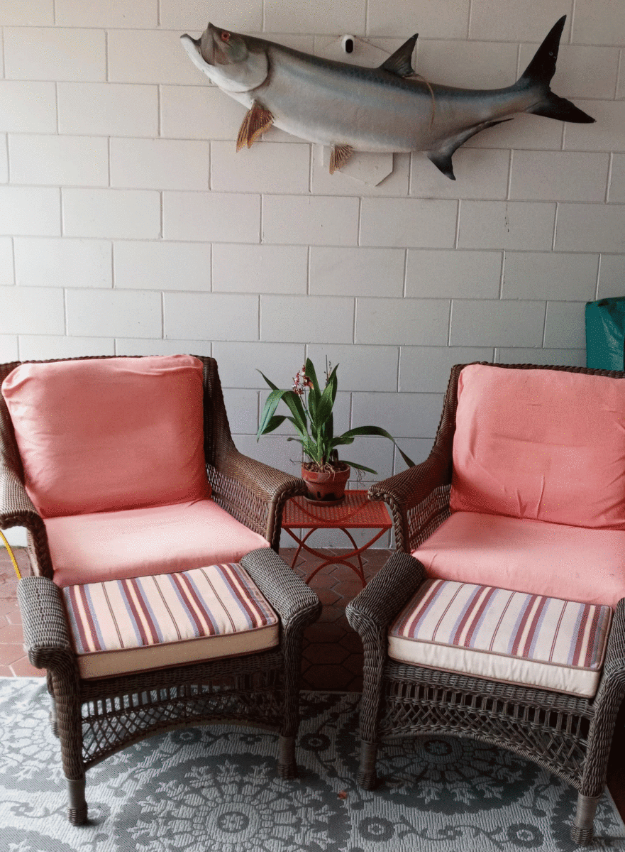 A peaceful corner on the patio