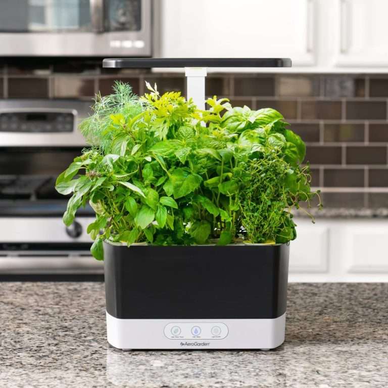 Countertop Herb Garden for everyone
