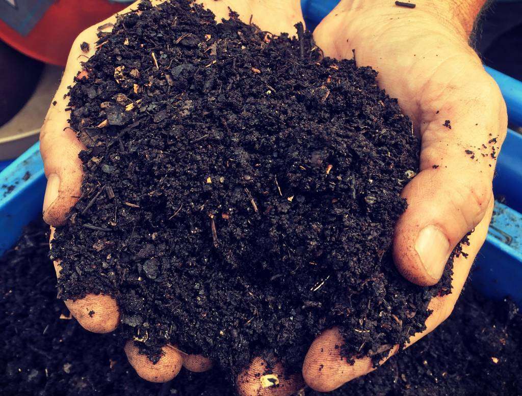 Rich compost is the cheapest and easiest way to build nutrients in soil.