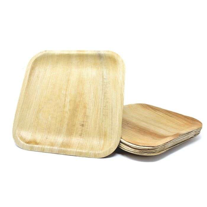 eco-friendly-disposable-plates