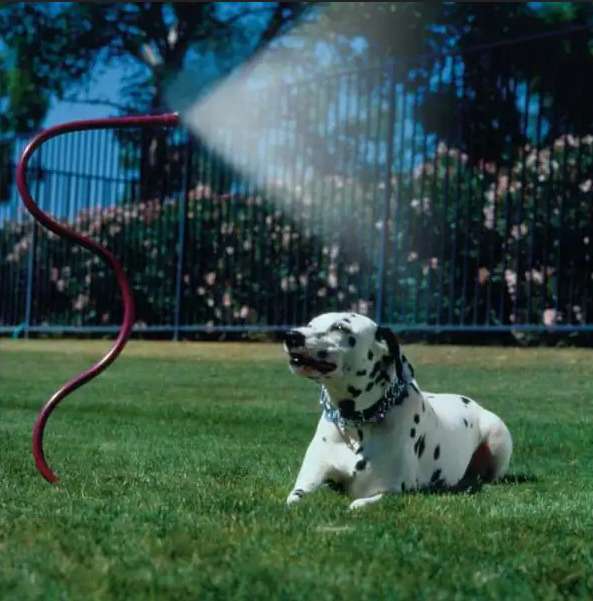 cooling flexible mister