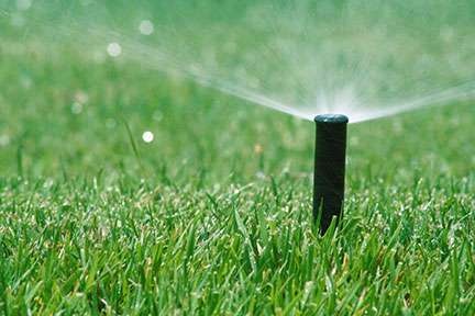 The Dream of a Great Lawn