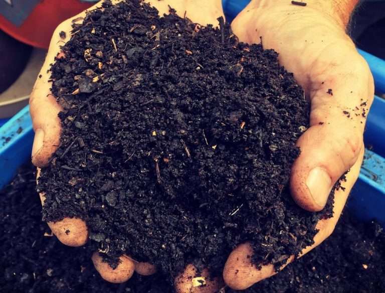 Nutrient rich and organic compost