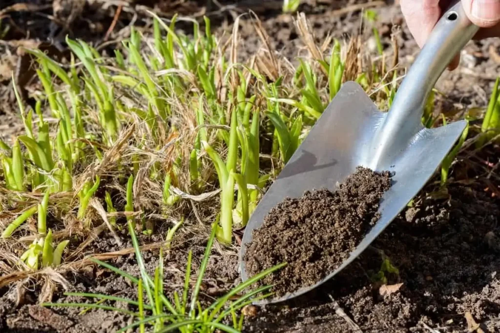 adding compost to existing gardens