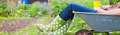 learning the joy of gardening