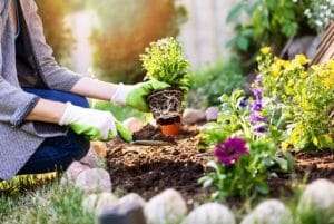 keeping your cool in the garden