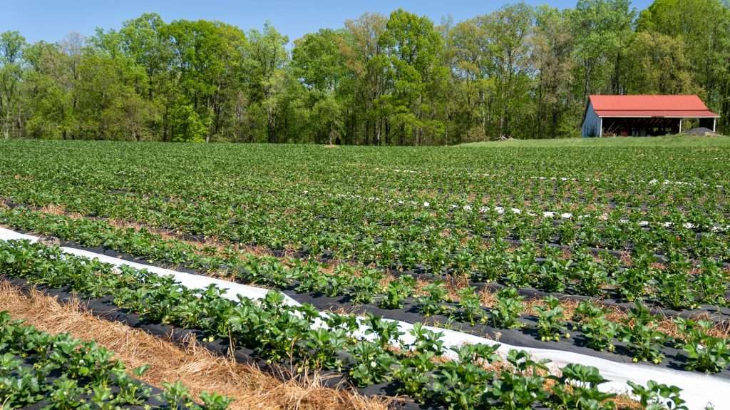 Florida Farmers dealing with effects of changing landscape zones