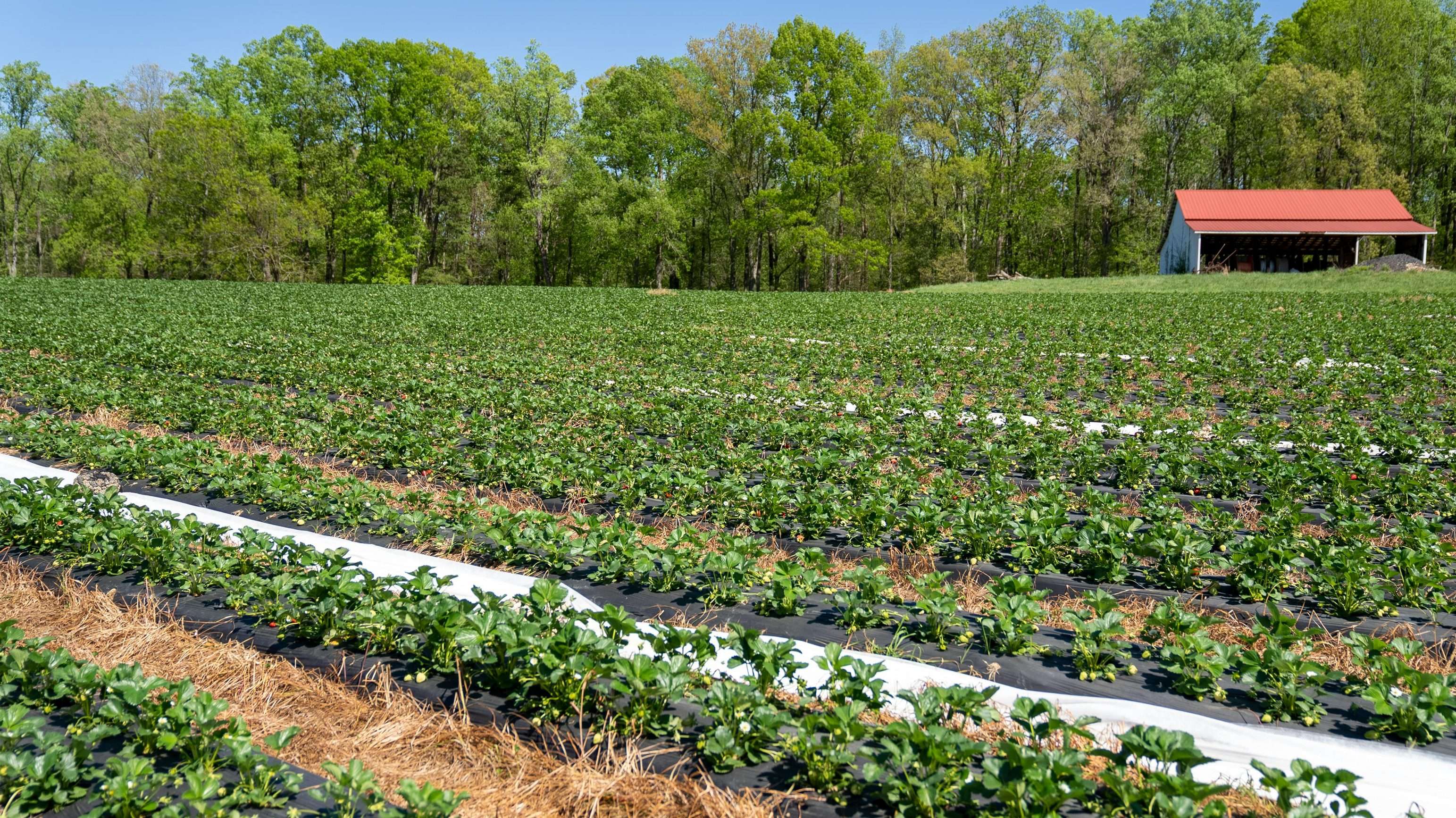Florida Farmers dealing with effects of changing landscape zones