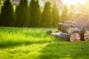 What to consider when buying a lawnmower