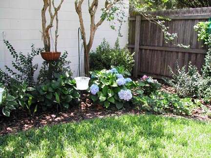 Summer in Florida is brutal for every gardener.