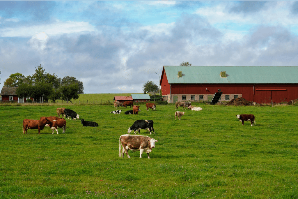 Farmers never wanted daylight saving time.